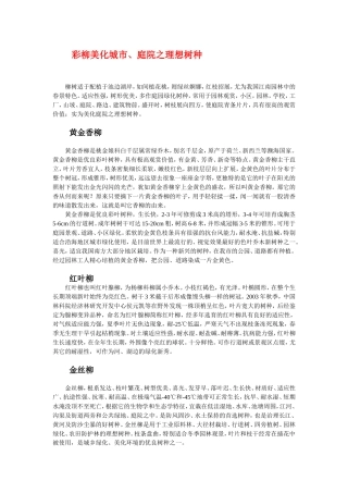 彩柳美化城市、庭院之理想树种