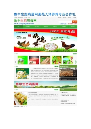 鲁中生态鸡蛋网莱芜天泽养鸡合作社柴鸡蛋