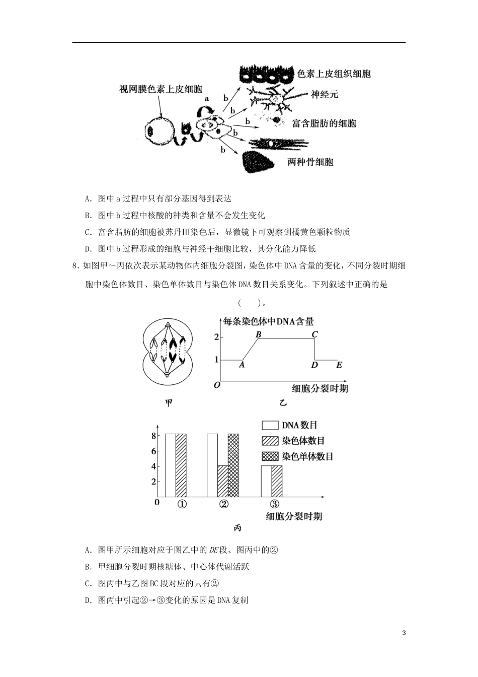 2013届高考生物理新思路考场特训3-新人教版_第3页