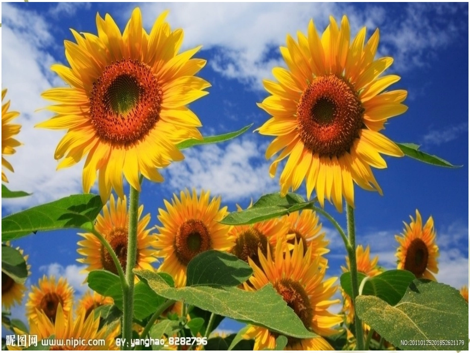 圆的认识-(2)_第2页