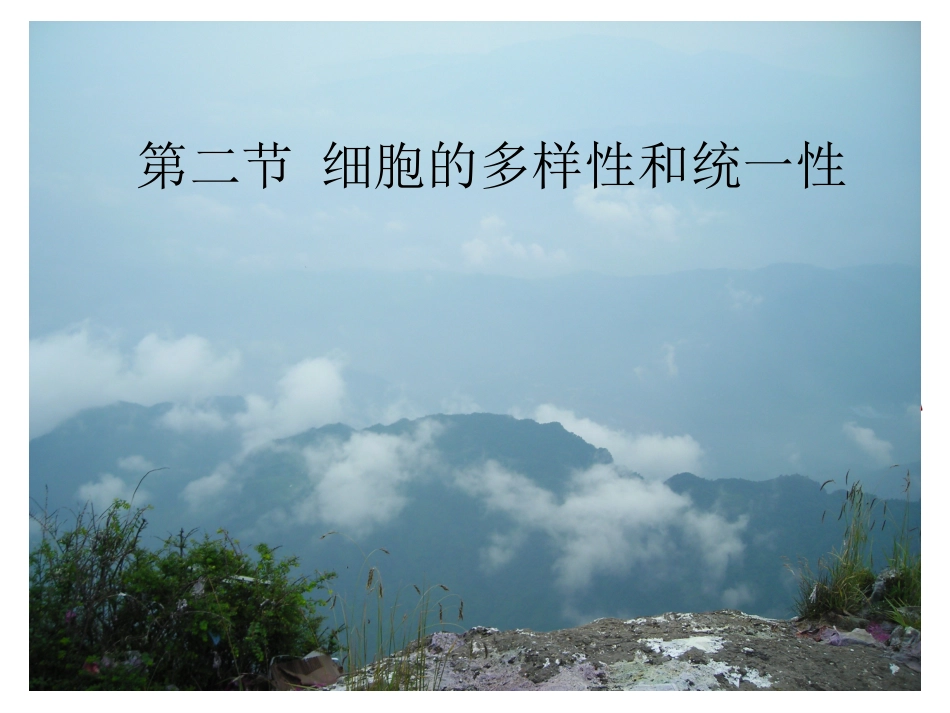 第2节细胞的多样性和统一性课件-唐梅_第3页