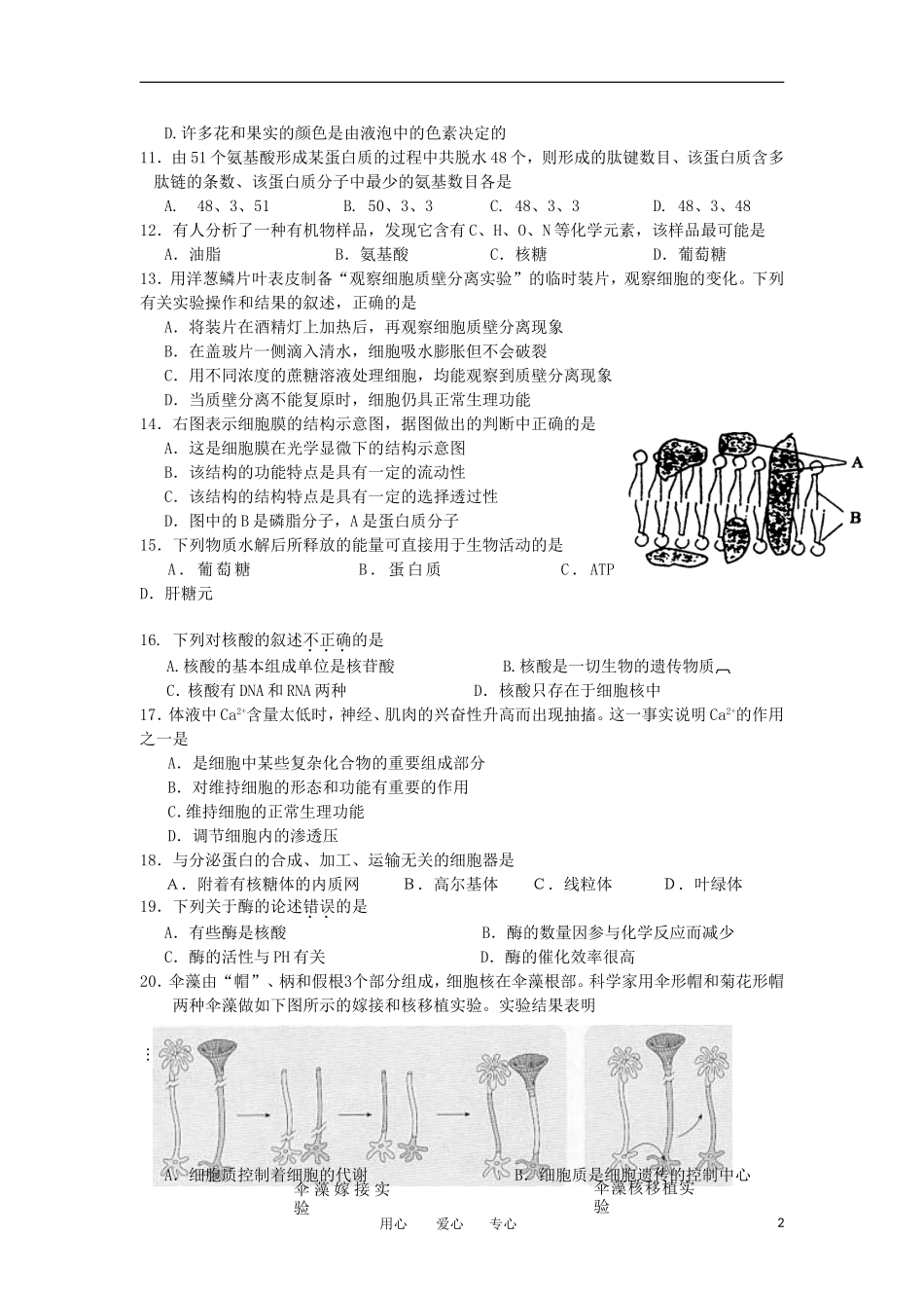 浙江省永嘉县普高联合体11-12学年高二生物上学期期中考试题_第2页