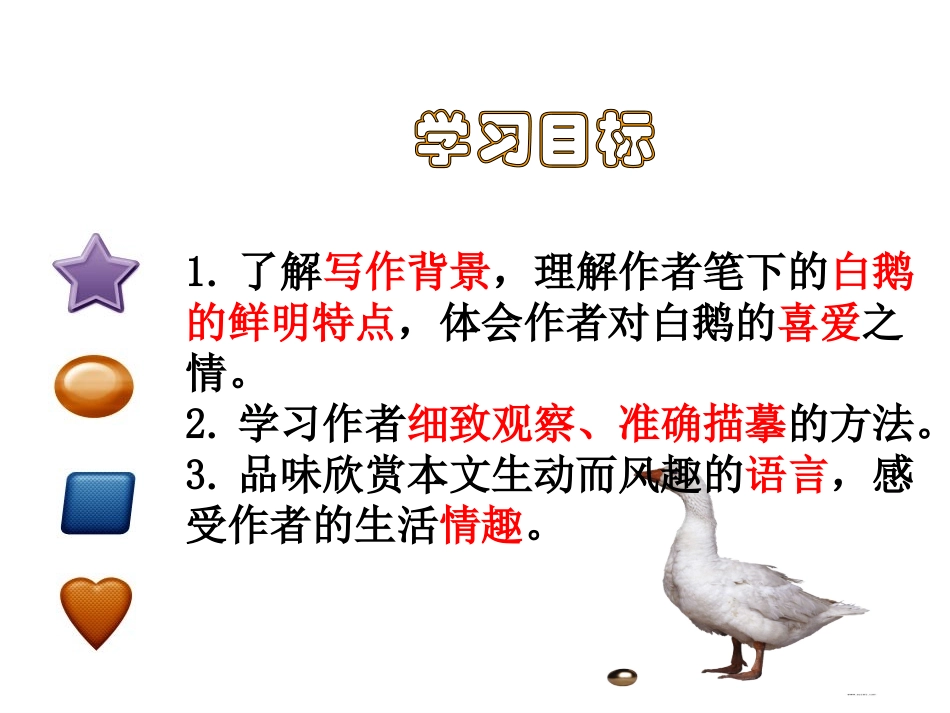 3、《白鹅》_第2页