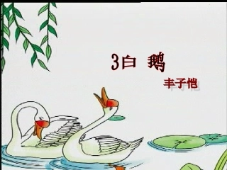 3、《白鹅》