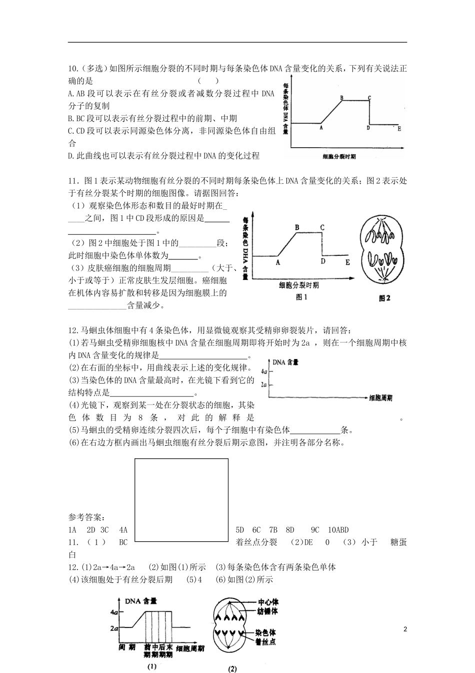 高中生物-5.1《细胞增殖》测试(9)苏教版必修1_第2页