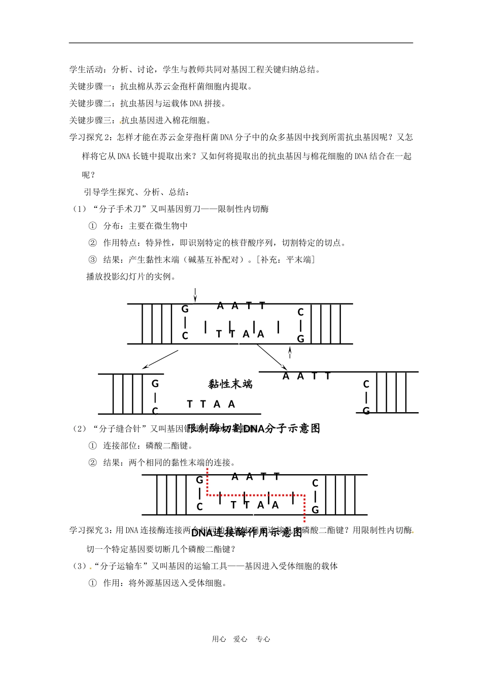 高中生物：-11-DNA重组技术的基本工具(教案)人教版选修3_第3页