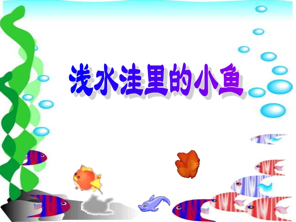 《浅水洼里的小鱼》PPT课件_第1页