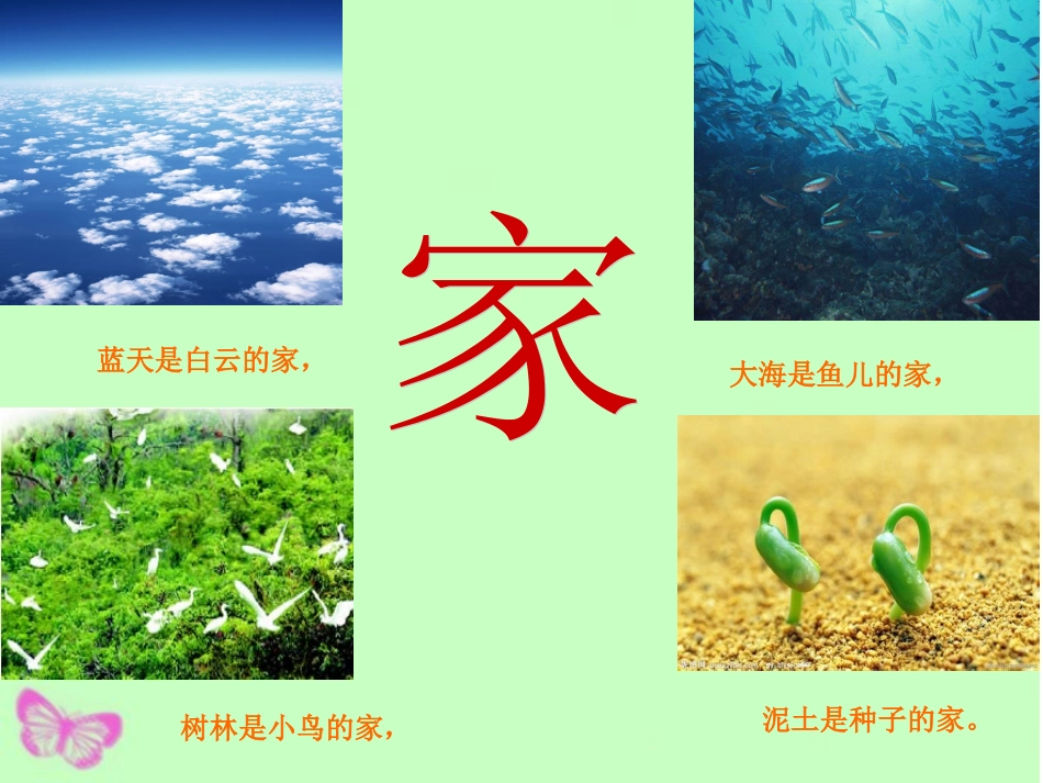 《浅水洼里的小鱼》PPT课件_第2页
