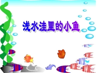 《浅水洼里的小鱼》PPT课件