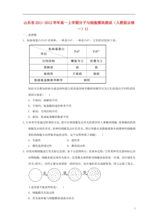 山东省2011-2012学年高中生物分子与细胞模块测试11-新人教版必修1
