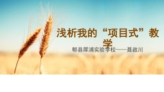 聂启川-浅析我的项目式教学-幻灯