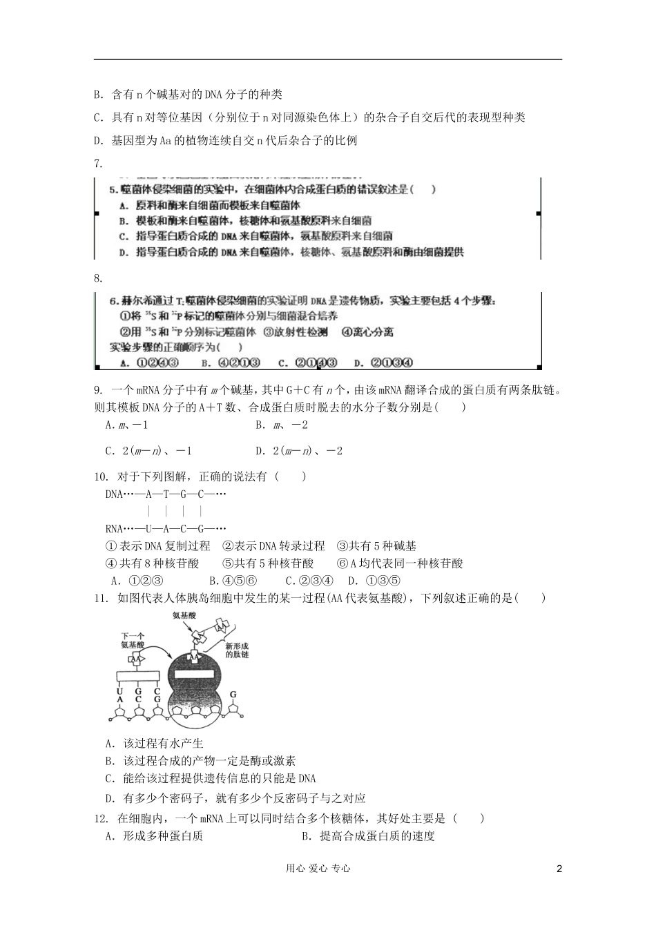 山东省2012届高三生物《遗传与变异的分子基础》单元测试14-中图版必修2_第2页