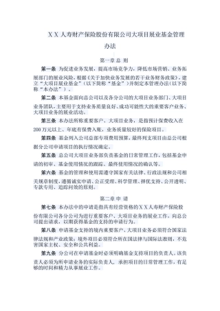 人寿财产保险股份有限公司大项目展业基金管理办法