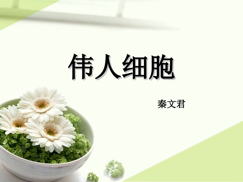 《伟人细胞》课件_第3页