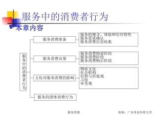 服务中的消费者行为