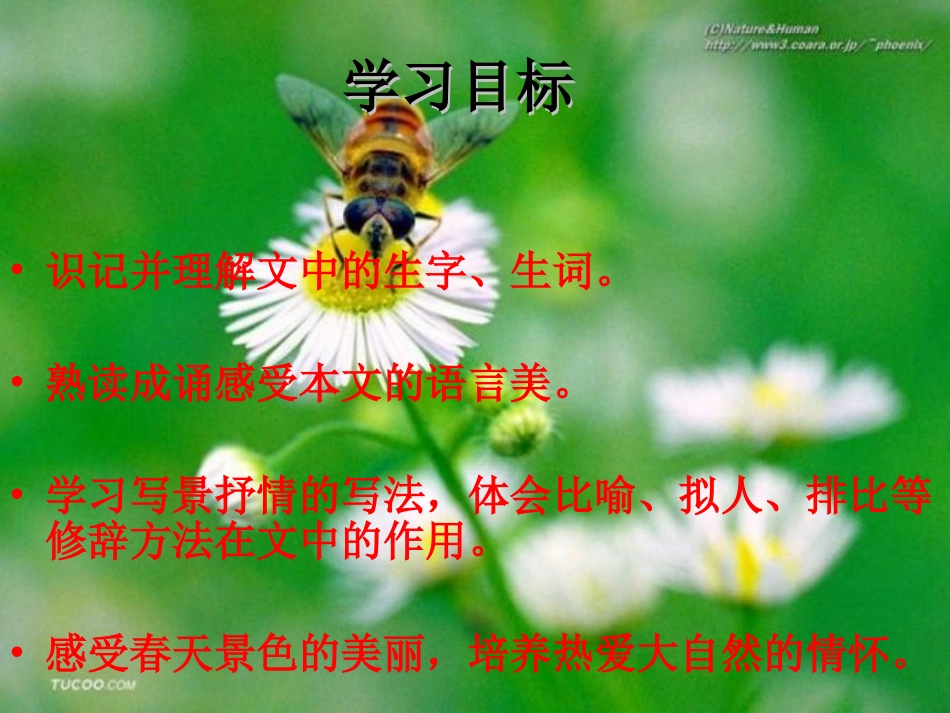 春533ppt_第3页