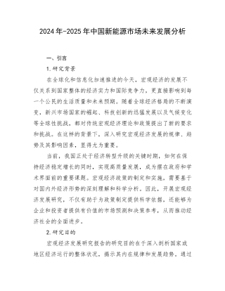 2024年-2025年中国新能源市场未来发展分析