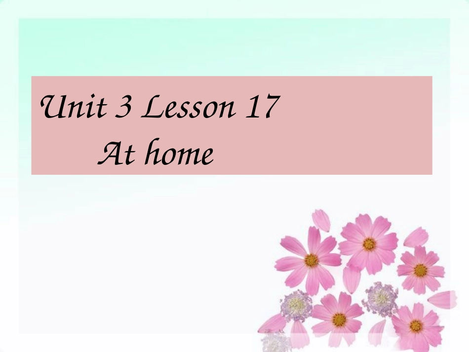 Unit-3-Lesson-17-At-Home-课件-1_第1页