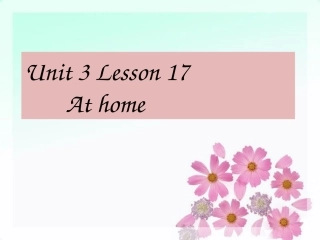 Unit-3-Lesson-17-At-Home-课件-1