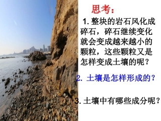 四年级科学上册一-考察前的准备土壤中有什么