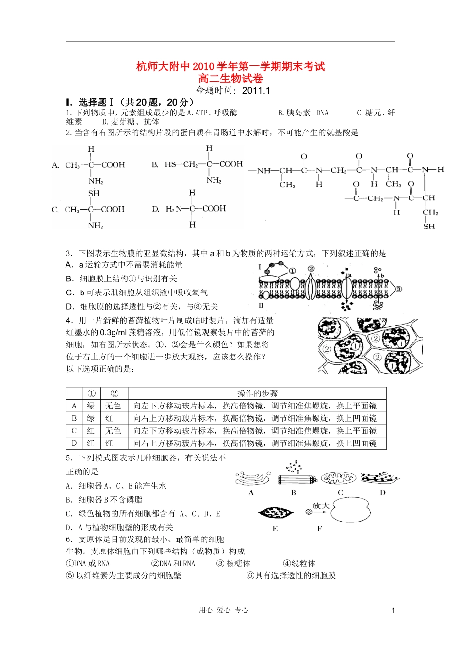 浙江省杭州师范大学附属中学2010-2011学年高二生物上学期期末考试试题_第1页