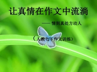 (部编)初中语文人教2011课标版七年级下册让真情在作文中流淌