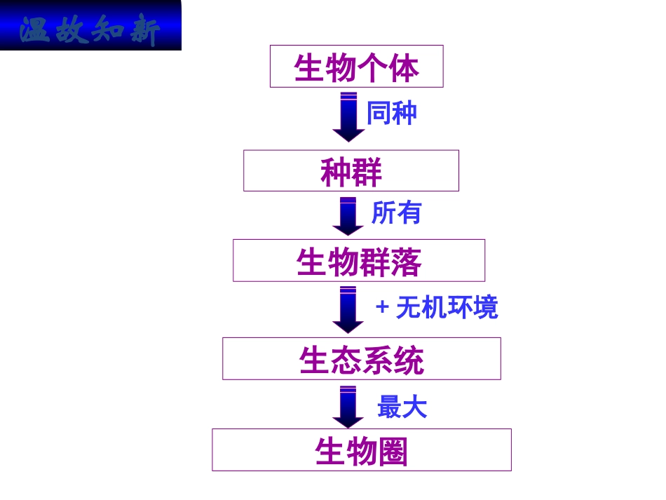 科学前沿组装细胞-(3)_第2页