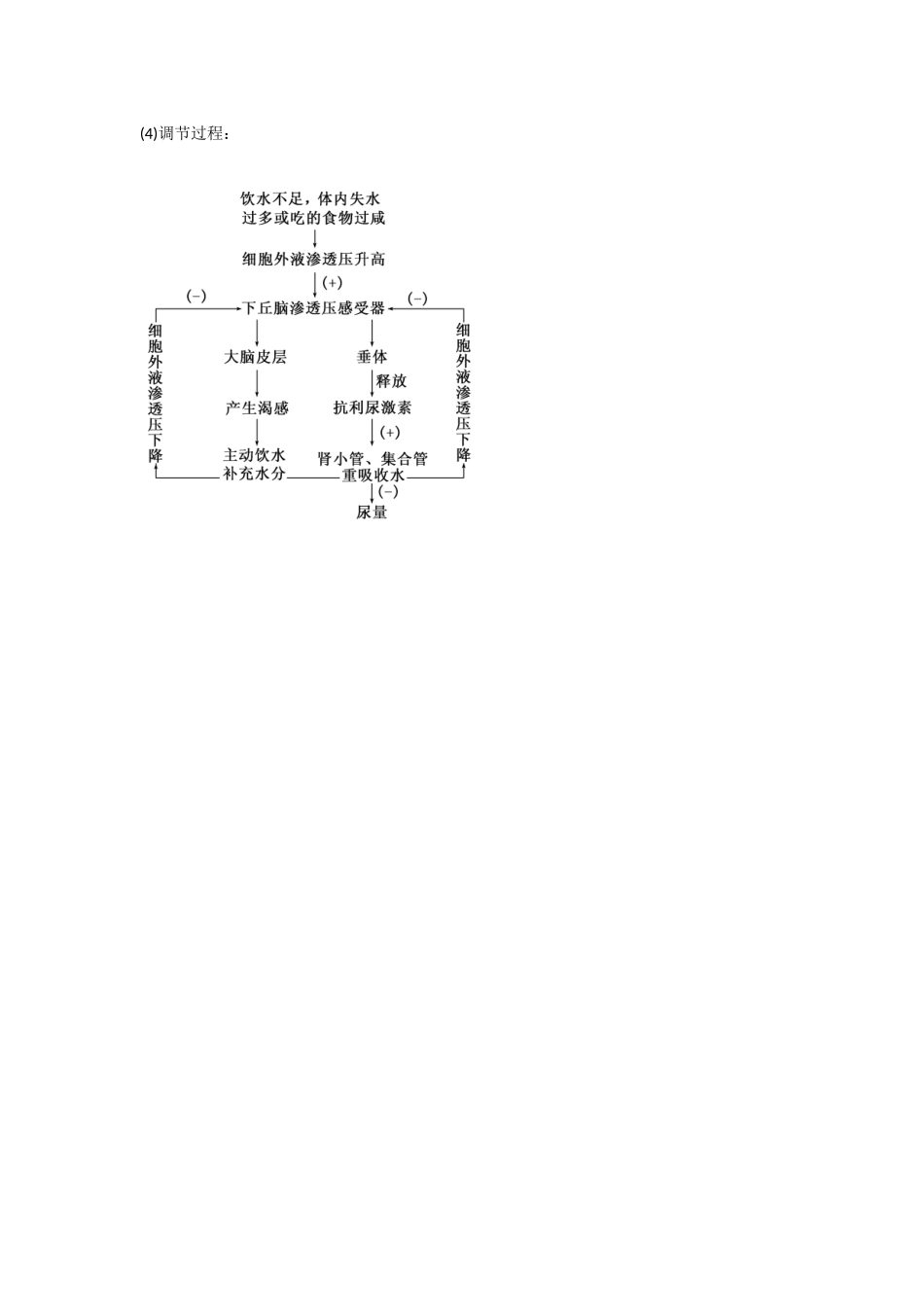 一内环境与稳态_第3页