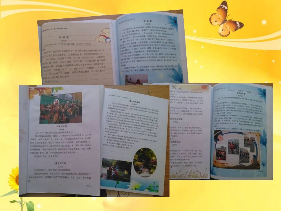 《写信介绍家乡》_第2页