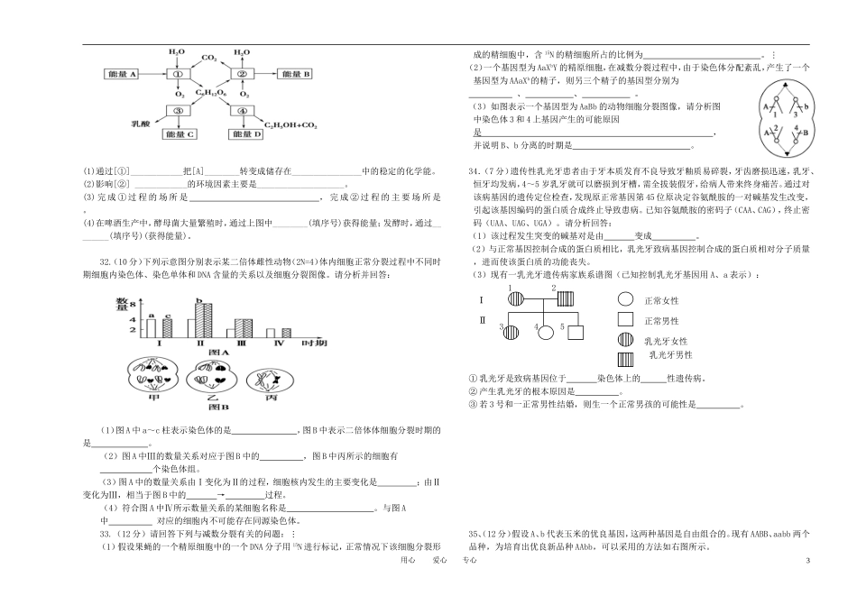 福建省厦门市翔安一中2012届高三生物12月月考试卷新人教版【名校特供】_第3页