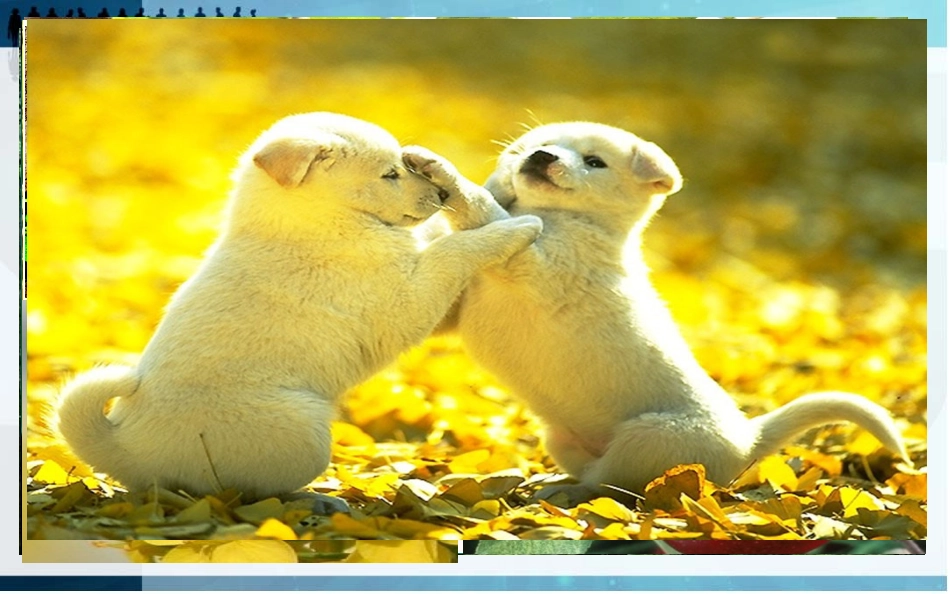 1.1.1生物的特征_第2页