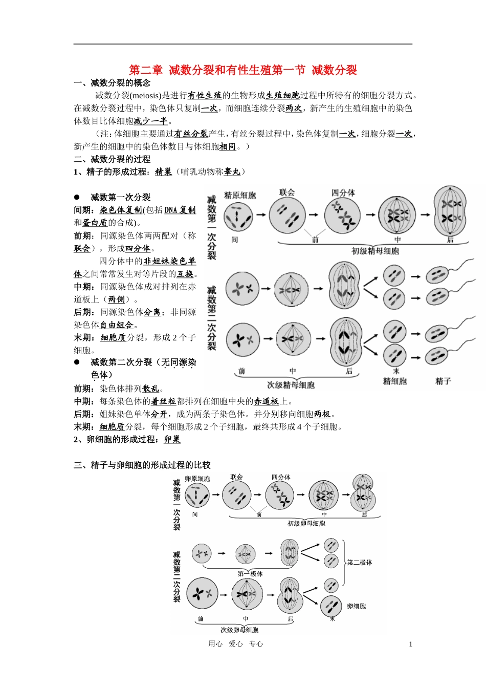 高中生物-复习提纲-必修2_第1页