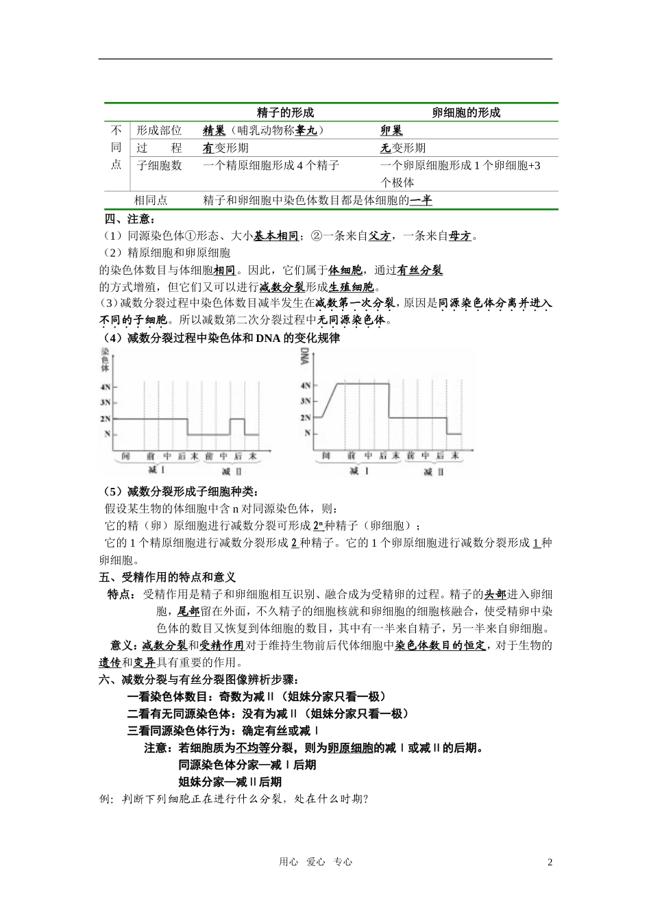 高中生物-复习提纲-必修2_第2页