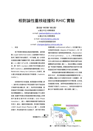 相对论性重核碰撞和RHIC实验