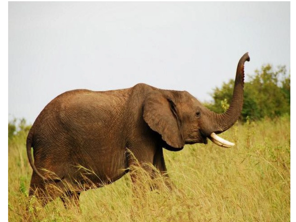 活动：想一想_第3页