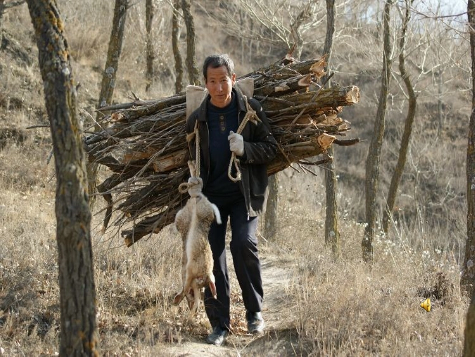 太阳出来喜洋洋_第2页