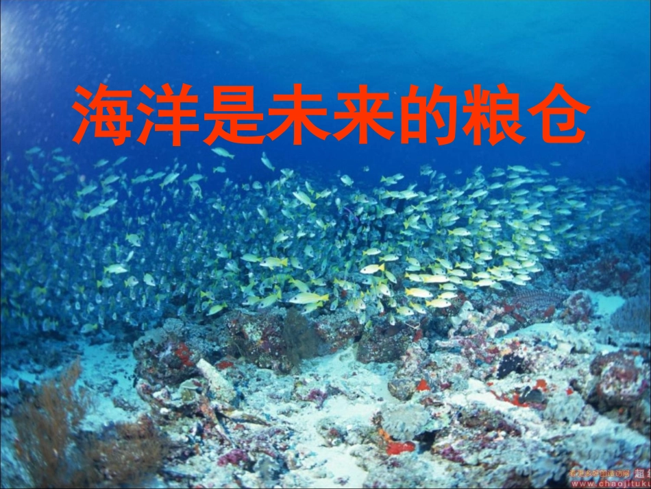 《海洋是未来的粮仓》PPT_第2页