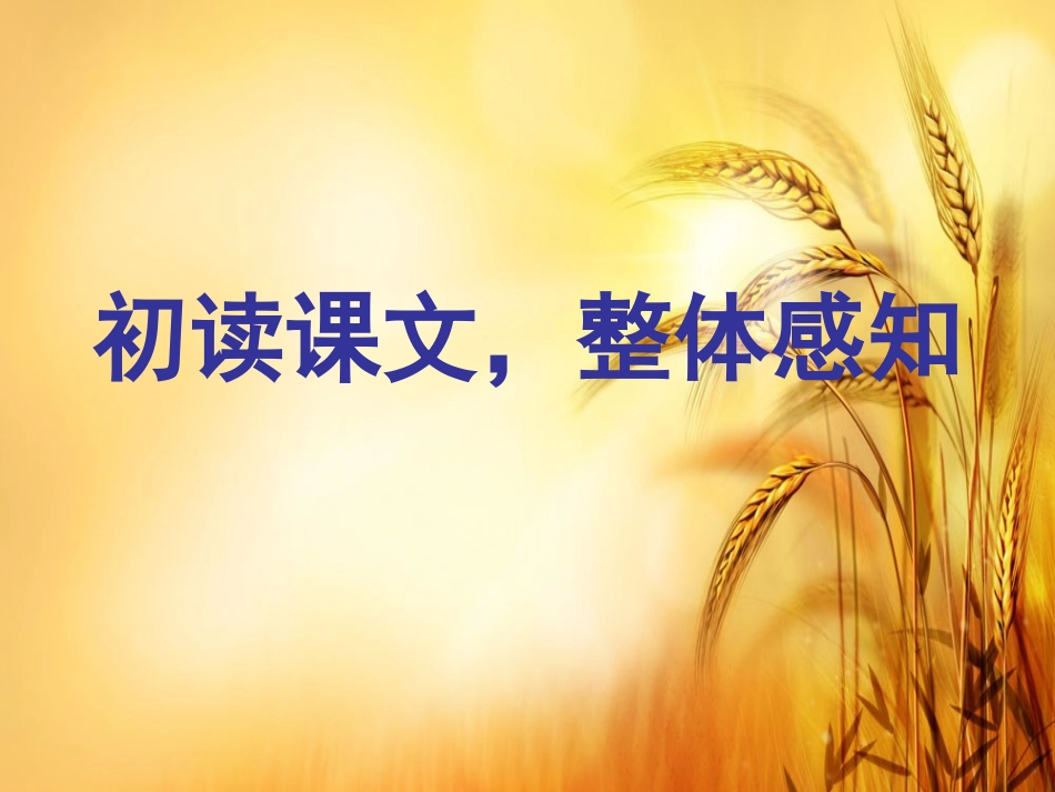 《海洋是未来的粮仓》PPT_第3页