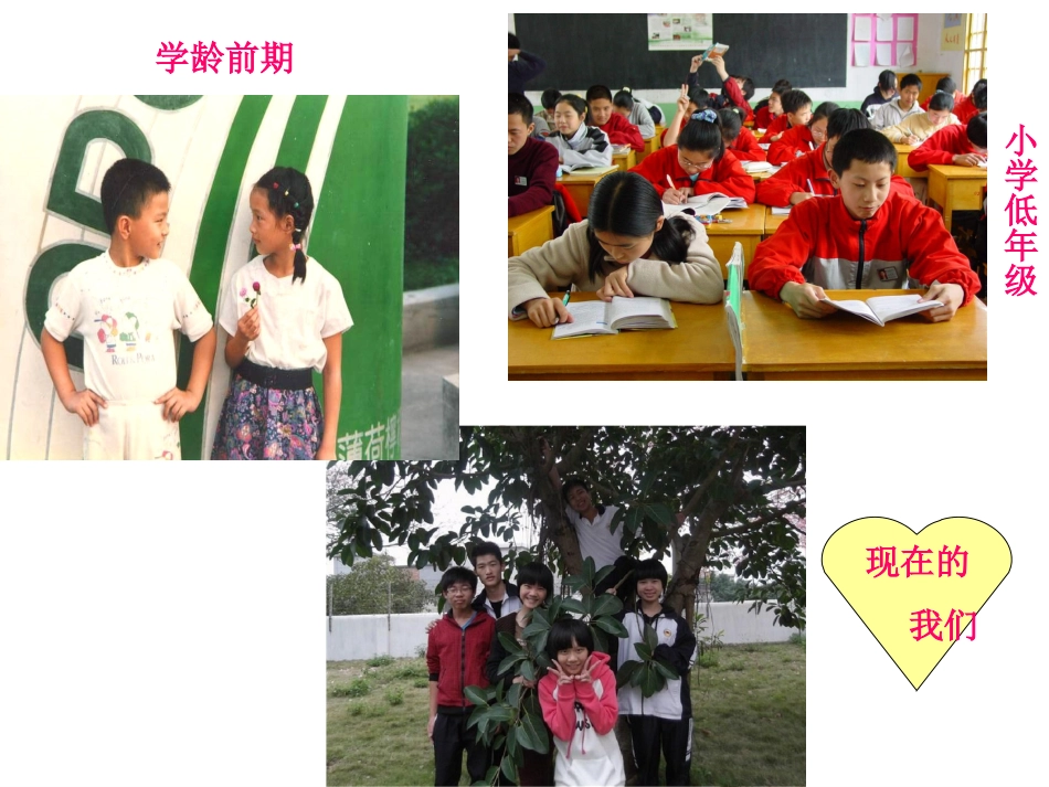 男生女生大不同_第3页