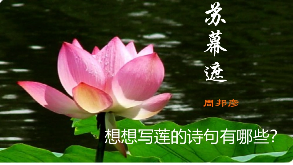 语文八年级下北师大第五单元-周邦彦《苏幕遮》PPT_第1页