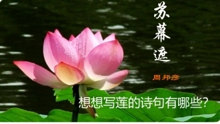 语文八年级下北师大第五单元-周邦彦《苏幕遮》PPT