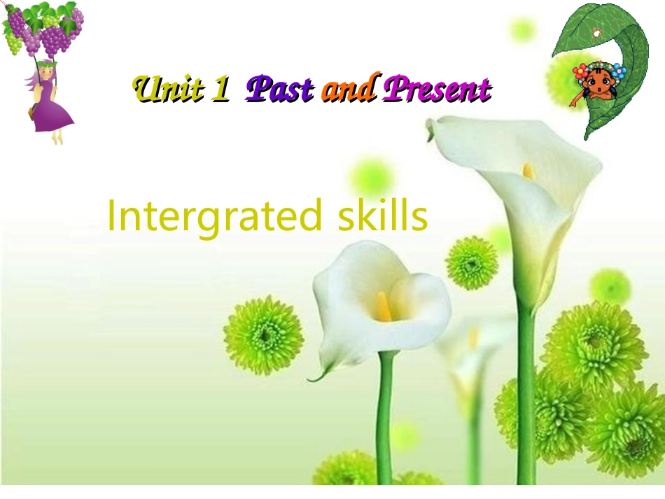 intergrtedskills_第1页