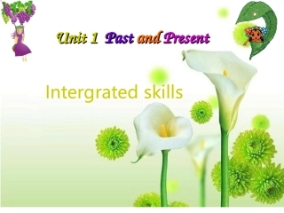 intergrtedskills
