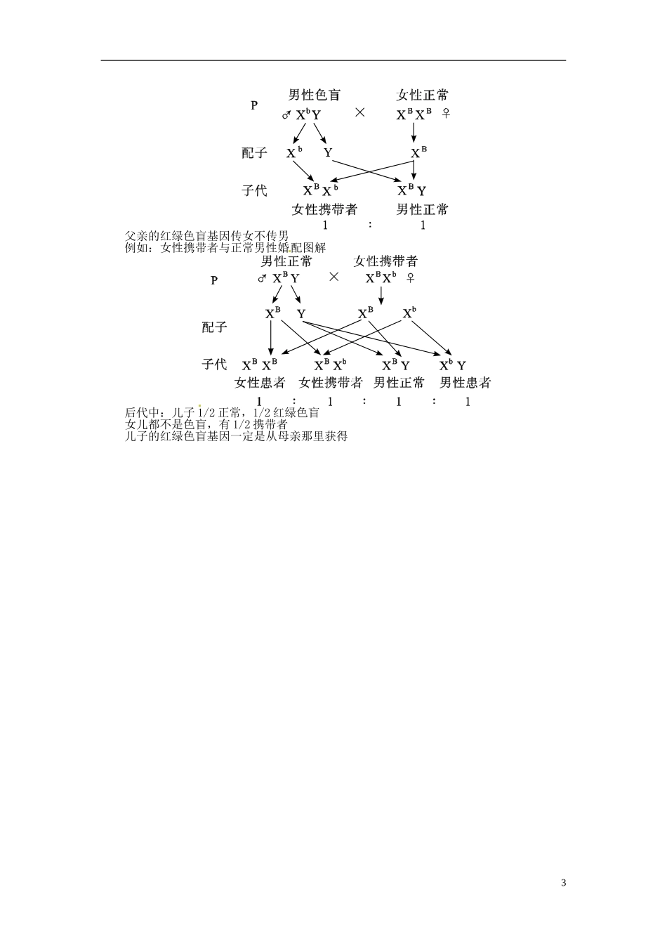 2013届高考生物总复习-基因与染色体的关系教案-新人教版_第3页