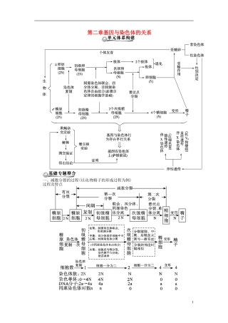 2013届高考生物总复习-基因与染色体的关系教案-新人教版