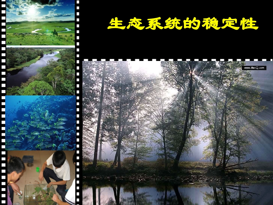 2.5生态系统的稳定性(PPT)_第1页