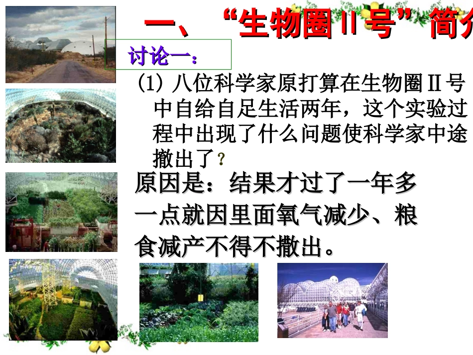 2.5生态系统的稳定性(PPT)_第3页