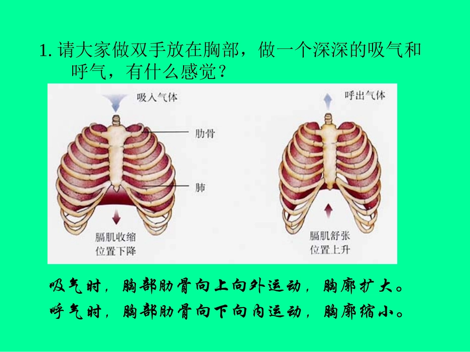 9.第九讲--人体的呼吸_第3页