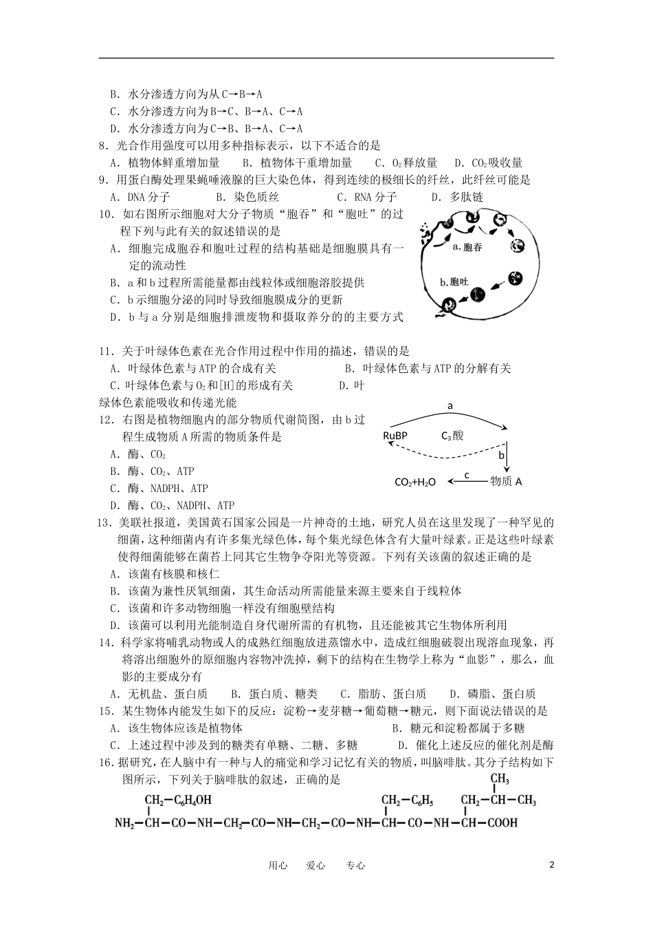 浙江省嘉兴市2012-2013学年高二生物上学期期中试题-理-浙科版_第2页