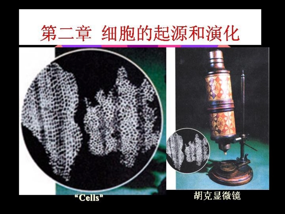 进化生物学2章细胞的起源和演化_第1页